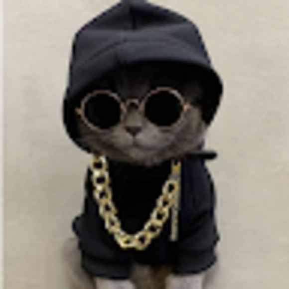 Meet your Posher, Mia - Picture 1 of 1